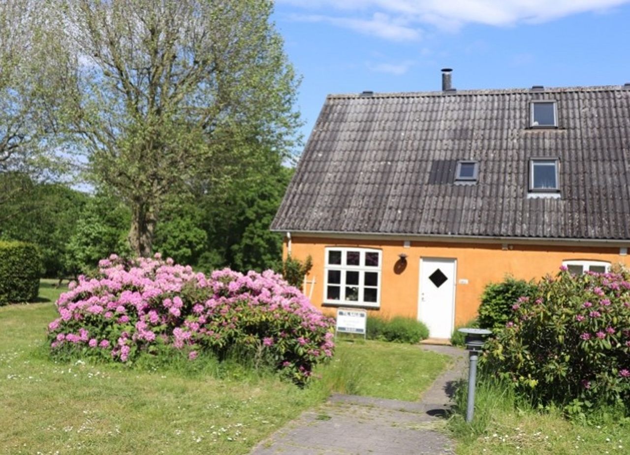 image 04